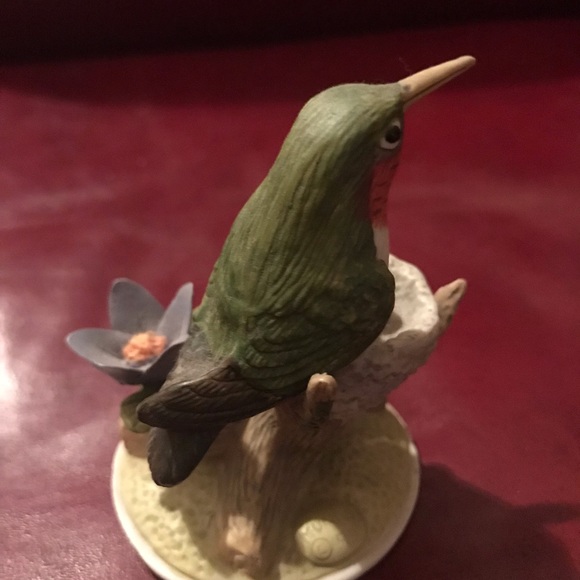 On Natures’s Wing Hummingbird on tree branch - Picture 3 of 4